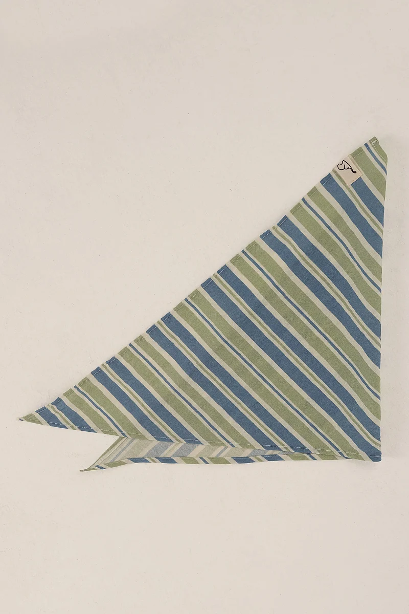 Bandana Çizgili Mavi-Yeşil - 3