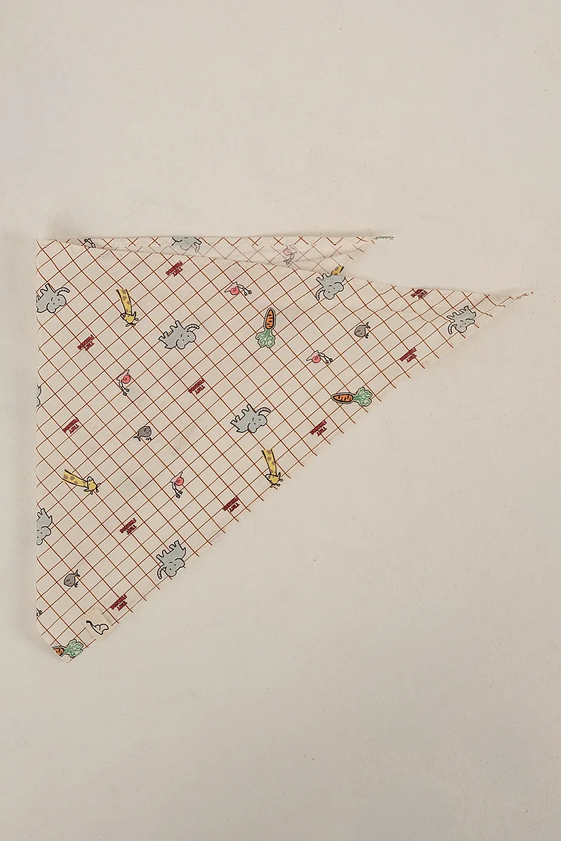Bandana Renkli Baskılı - 2